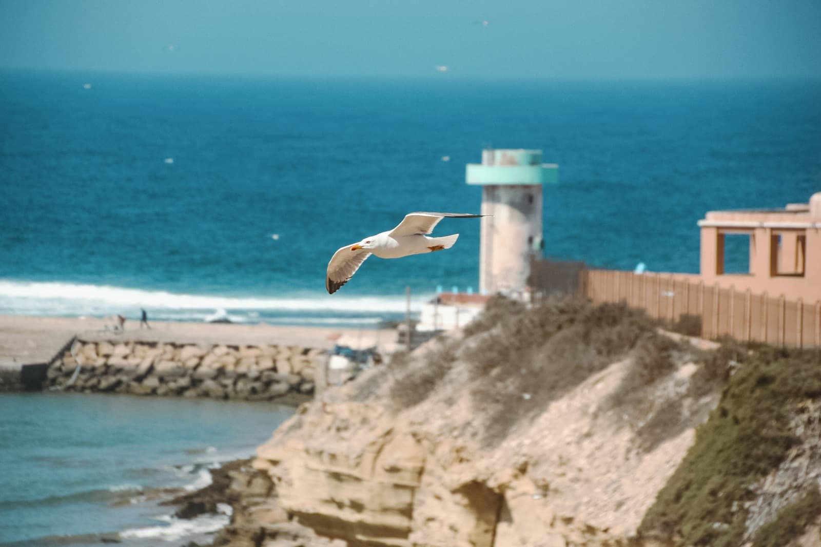 Ambiente relajado del viaje con compañeros de surf